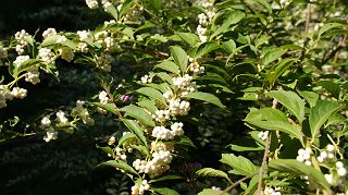 【小】DSC08837/320.jpg