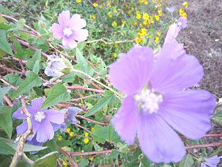 IMG_0415_320.jpg